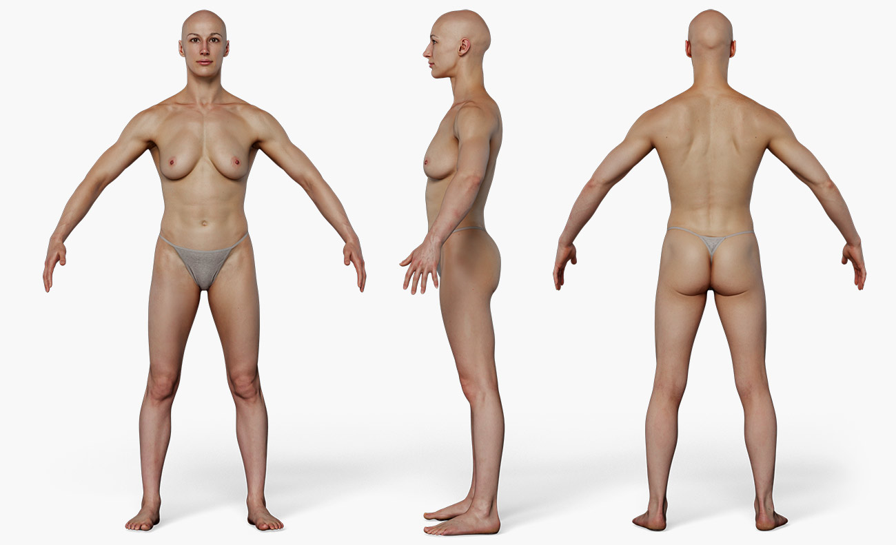 Female body builder 3d model download 